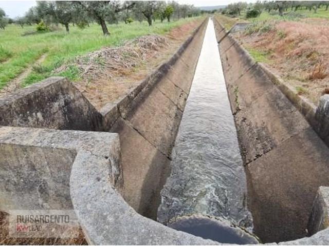 Terreno alugar em Castelo Branco, Idanha-a-nova