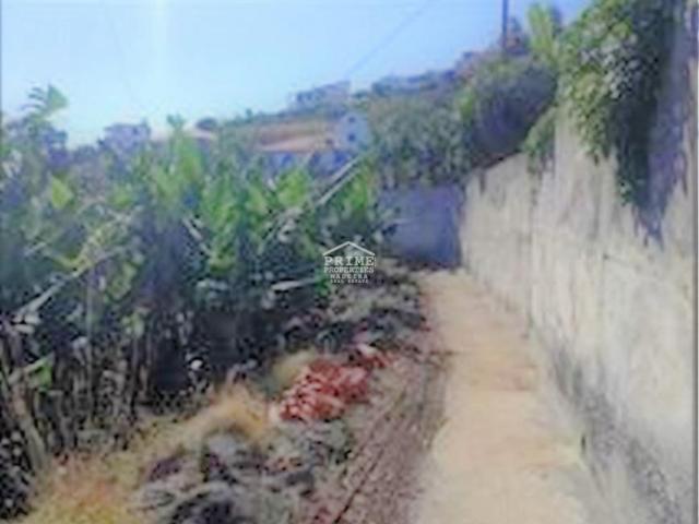 Terreno venda em Santa Cruz