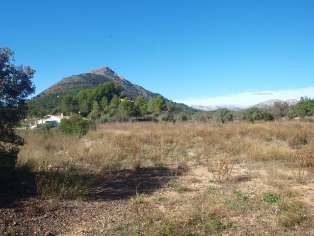 Terreno en venta en Blanca, Región de Murcia