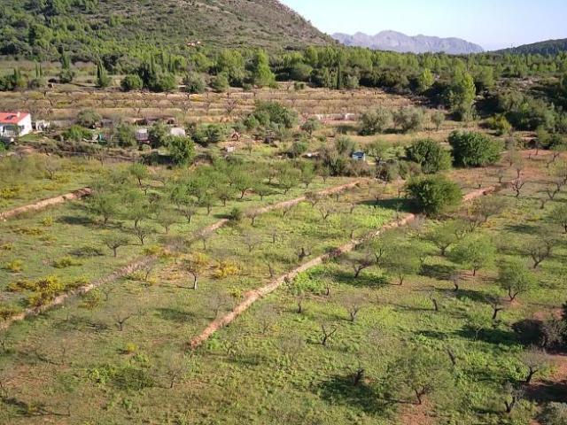 Terreno en venta en Blanca, Región de Murcia