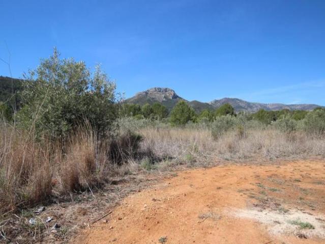 Terreno en venta en Blanca, Región de Murcia