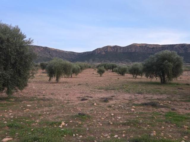 Terreno en venta en Altiplano, Murcia