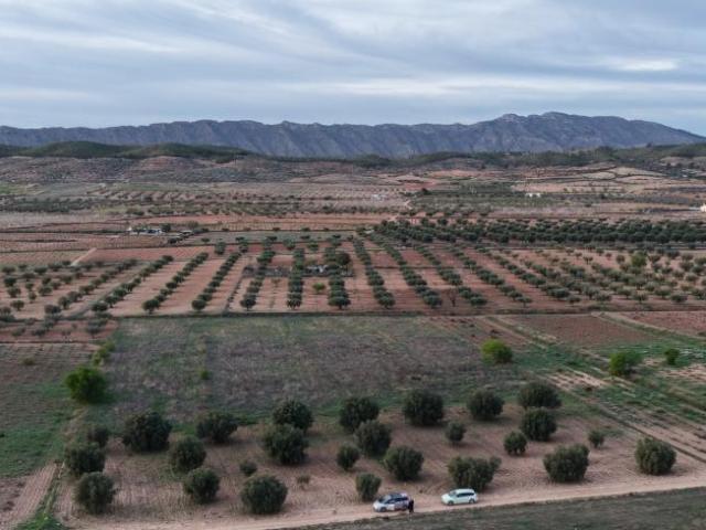 Terreno en venta en Altiplano, Murcia