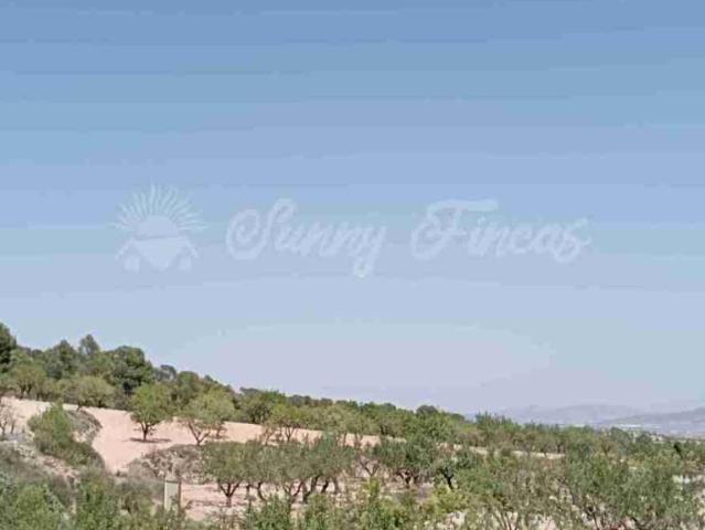 Terreno en venta en Altiplano, Murcia