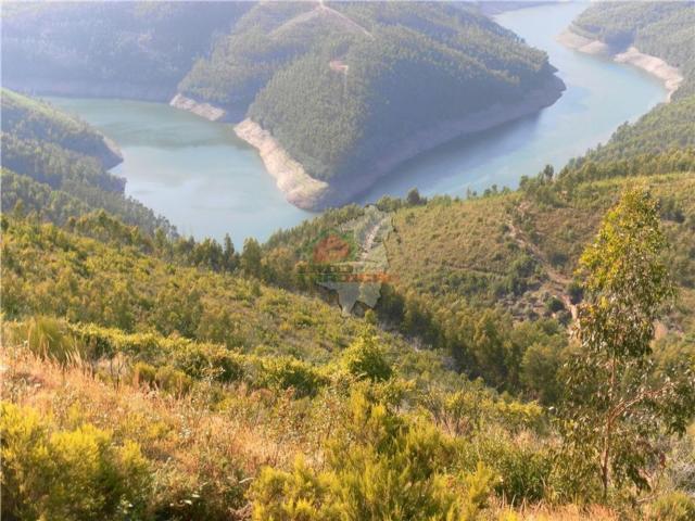 Terreno venda em Castelo Branco, Oleiros