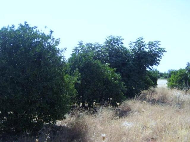 Terreno en venta en Écija, Andalucía