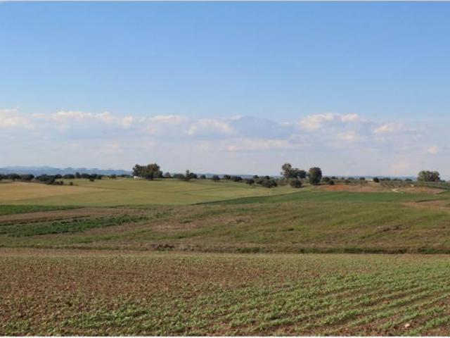 Terreno en venta en La Carlota, Córdoba