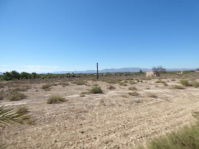 Terreno en venta en la Marina, el Baix Vinalopó