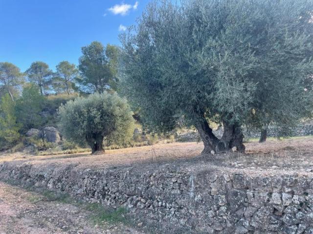 Terreno en venta en La Zarza