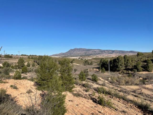 Terreno en venta en La Zarza