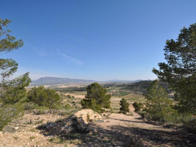 Terreno en venta en La Zarza