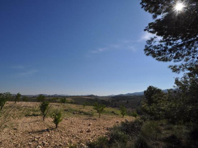 Terreno en venta en La Zarza