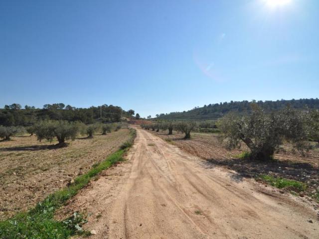 Terreno en venta en La Zarza