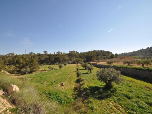 Terreno en venta en La Zarza