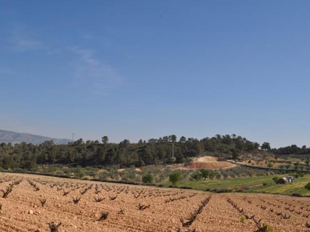 Terreno en venta en La Zarza