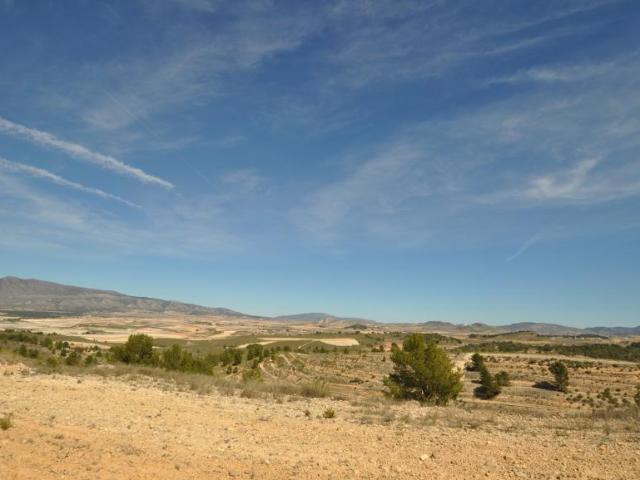 Terreno en venta en La Zarza