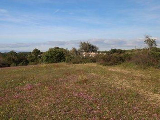 Terreno venda em Carvoeiro, Faro