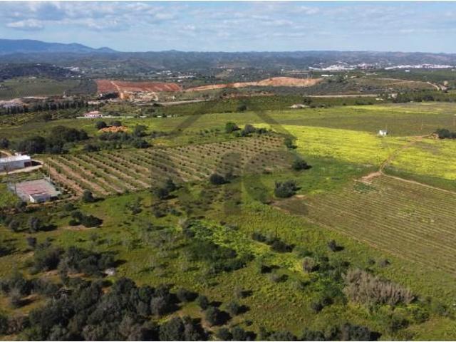 Terreno venda em Lagoa, Faro