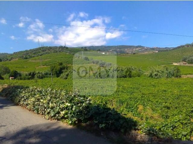 Terreno venda em Lamego, Viseu