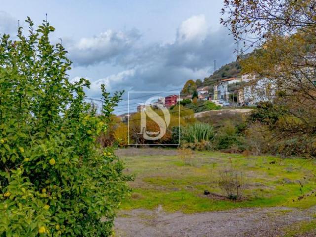 Terreno venda em Lamego, Viseu