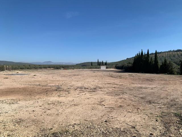 Terreno en alquiler en Lucena, Andalucía