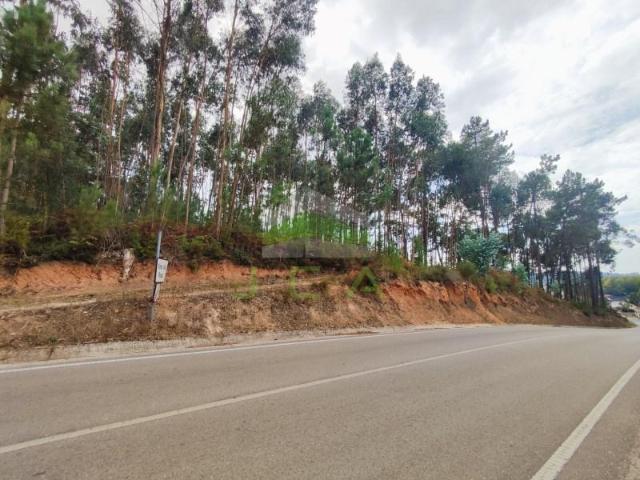 Terreno venda em Leiria