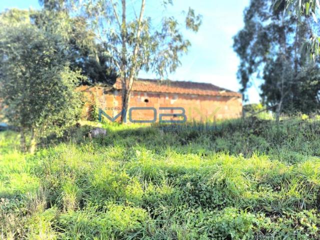 Terreno venda em Sancheira Pequena, Óbidos