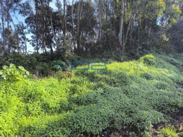 Terreno venda em Sancheira Pequena, Óbidos