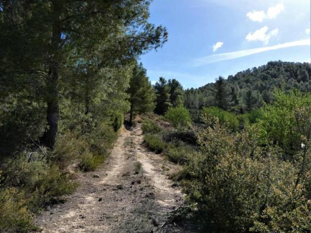 Terreno en venta en Matarraña / Matarranya, Lledó