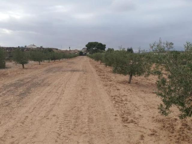 Terreno en venta en Bajo Guadalentín, Murcia