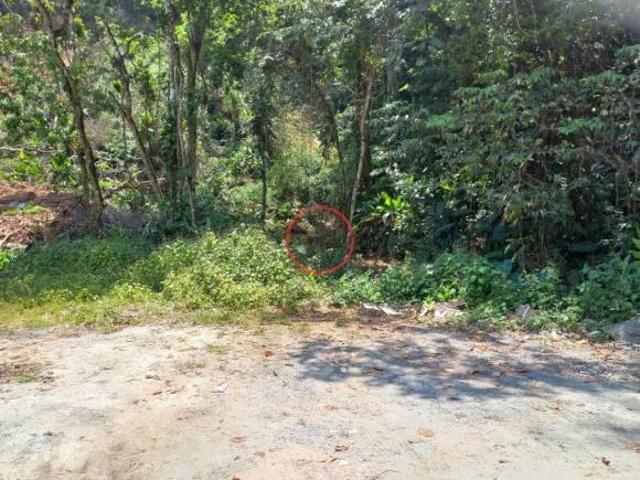 Terreno venda em Boiçucanga, São Sebastião