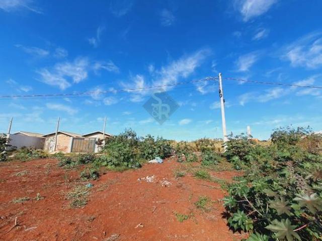 Terreno venda em Região Imediata de Ribeirão Preto, Região Metropolitana de Ribeirão Preto