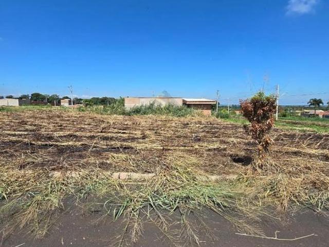 Terreno venda em Região Imediata de Ribeirão Preto, Região Metropolitana de Ribeirão Preto
