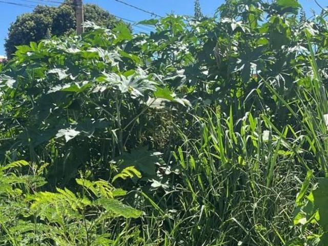 Terreno venda em Região Imediata de Ribeirão Preto, Região Metropolitana de Ribeirão Preto