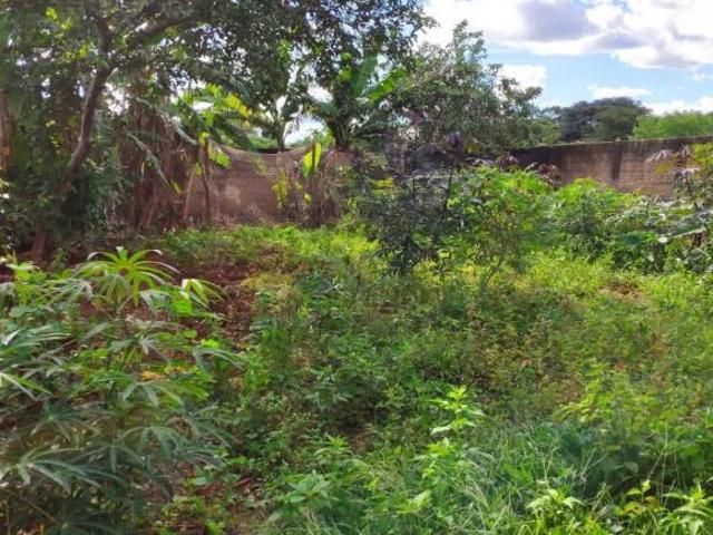 Terreno venda em Região Imediata de Ribeirão Preto, Região Metropolitana de Ribeirão Preto