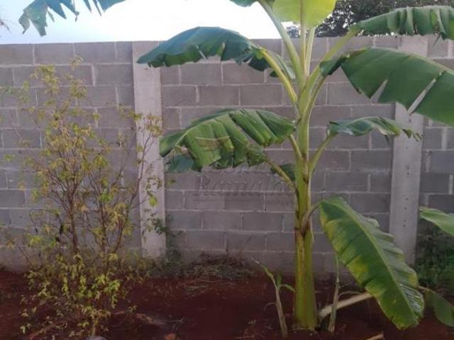 Terreno venda em Região Imediata de Ribeirão Preto, Região Metropolitana de Ribeirão Preto