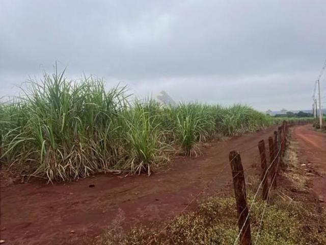 Terreno venda em Região Imediata de Ribeirão Preto, Região Metropolitana de Ribeirão Preto