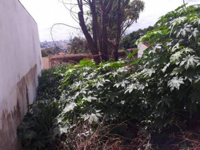 Terreno venda em Região Imediata de Ribeirão Preto, Região Metropolitana de Ribeirão Preto