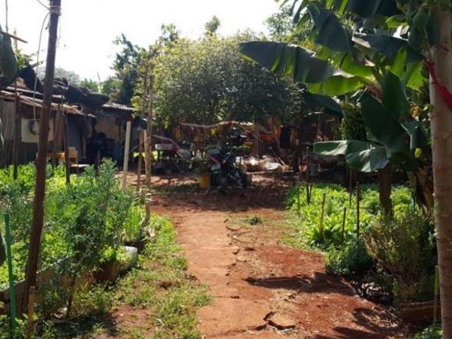 Terreno venda em Região Imediata de Ribeirão Preto, Região Metropolitana de Ribeirão Preto