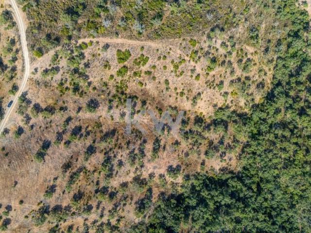 Terreno venda em Loulé, Faro