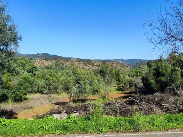 Terreno venda em Loulé, Faro