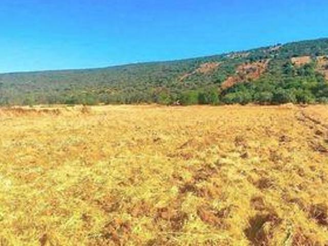 Terreno venda em Funchais, Loulé
