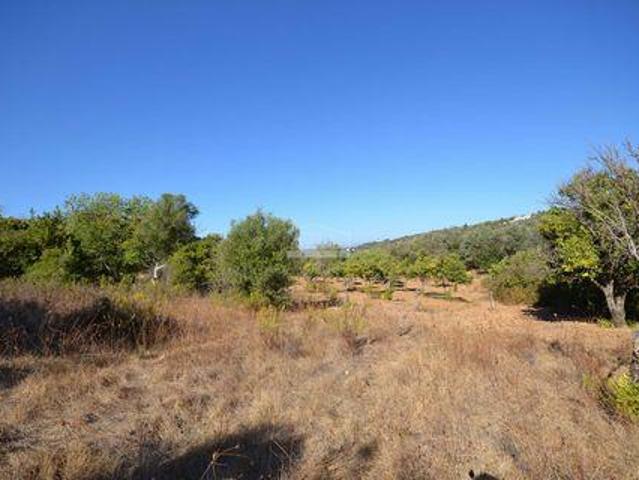 Terreno venda em Loulé, Faro