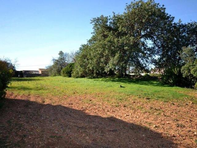 Terreno venda em Casas Leirias, Loulé