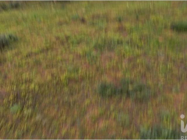 Terreno alugar em Arzinha, Loulé