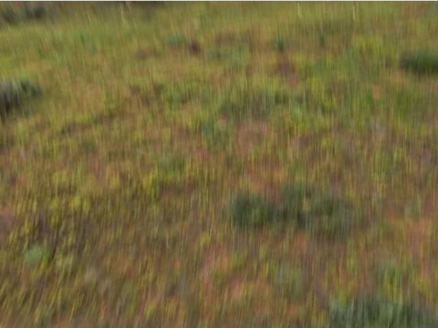 Terreno alugar em Loulé, Arzinha