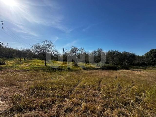 Terreno alugar em Loulé