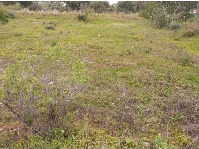 Terreno alugar em Loulé, Arzinha