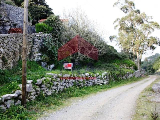 Terreno venda em Lourinhã, Lisboa