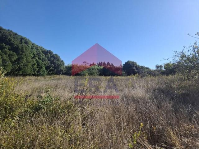 Terreno venda em Lourinhã, Lisboa